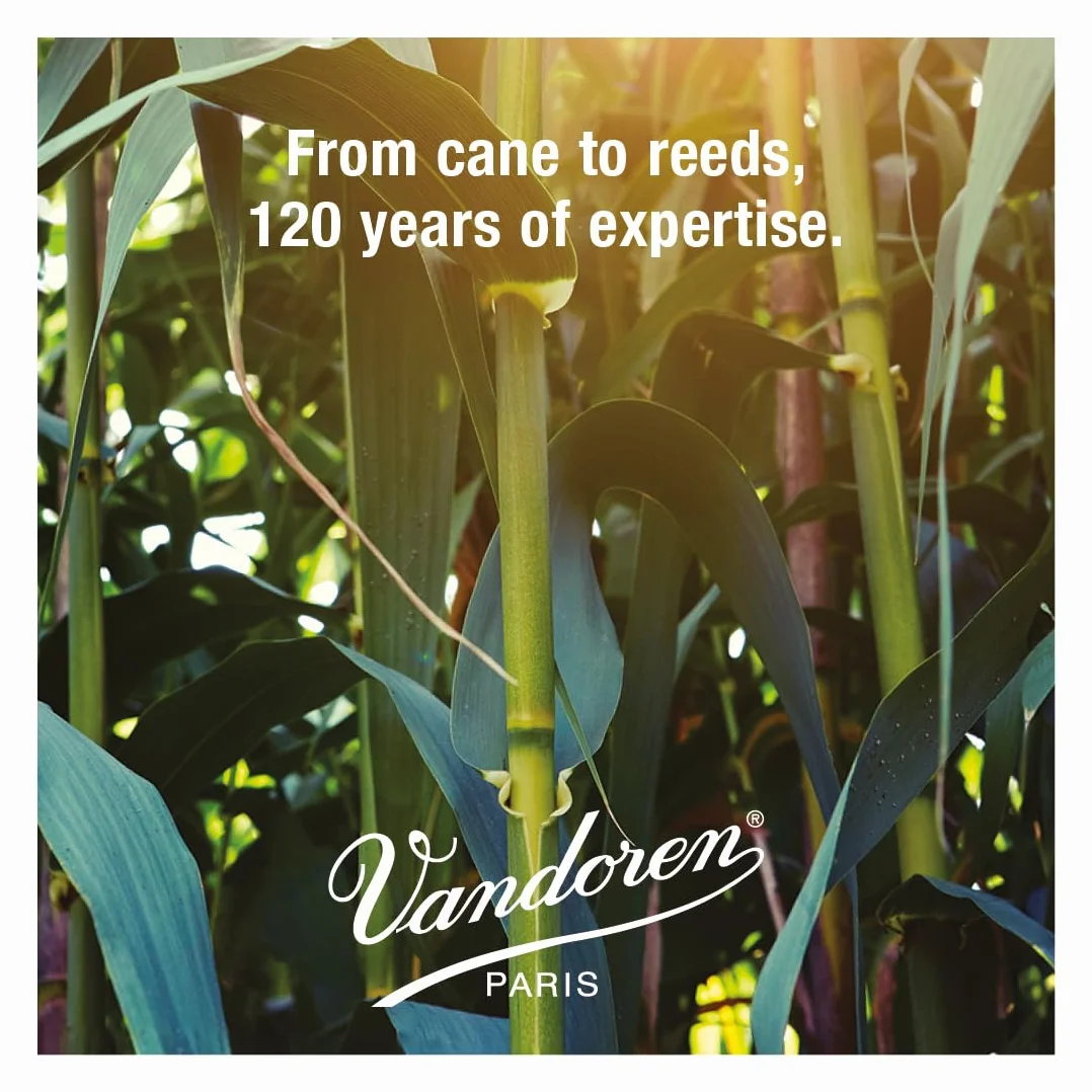 VANDOREN SR2235