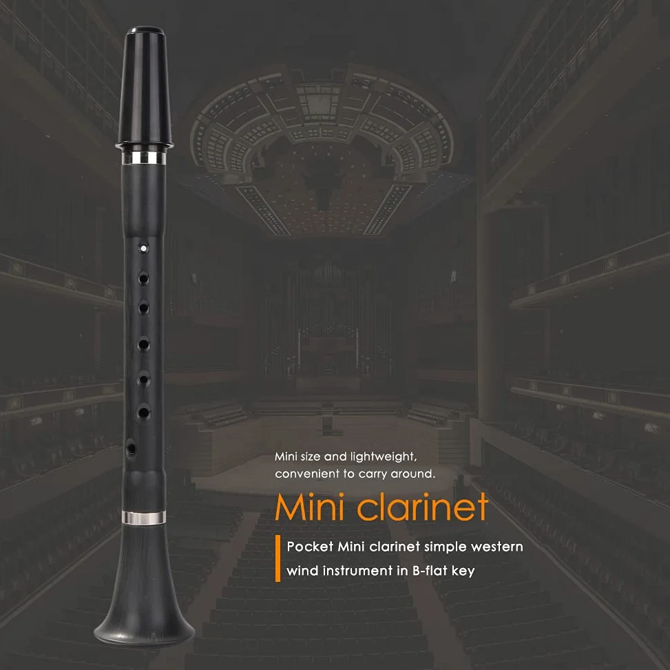 Klarinette, Mini Pocket BB B Flache Klarinette Holzwind Instrument for Anfänger-Praxis