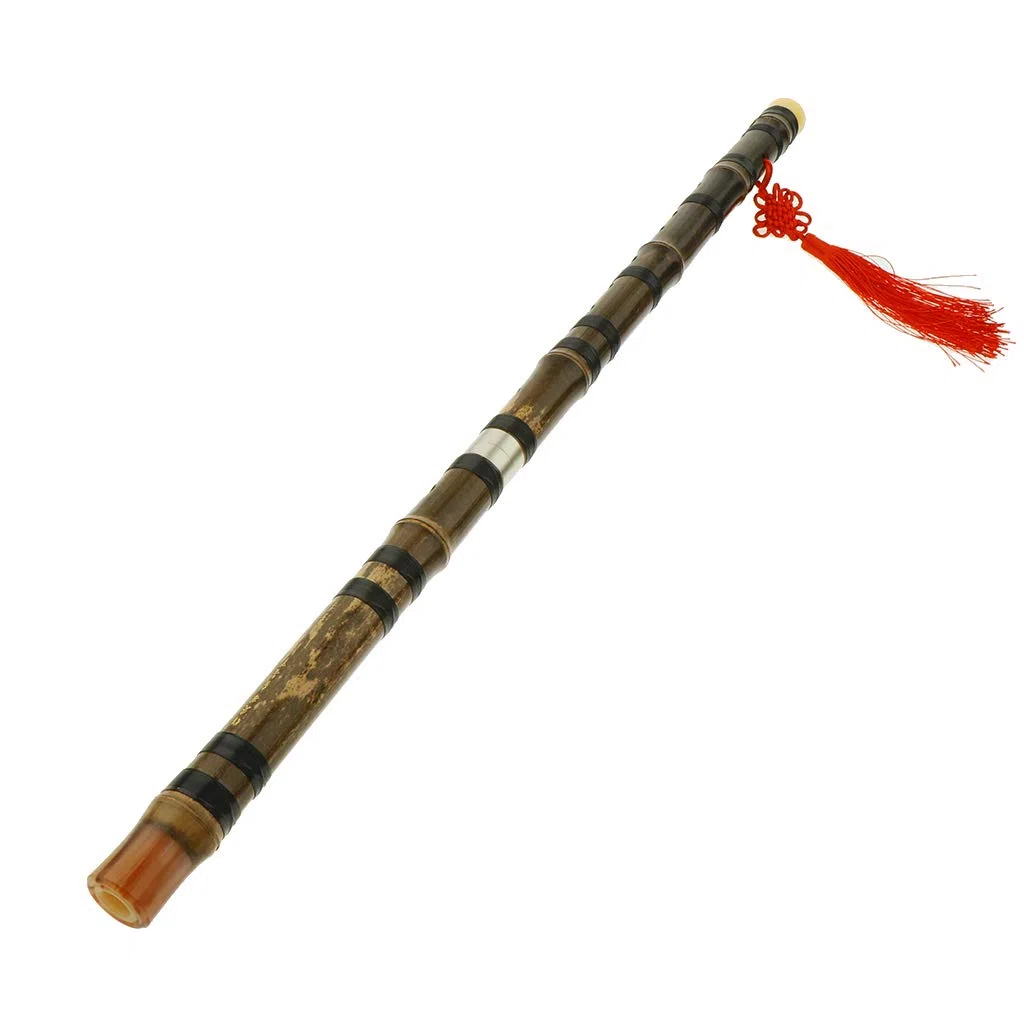 Traditionelle chinesische Flöte, handgefertigt, Bambusflöte, Dizi, D-Ton