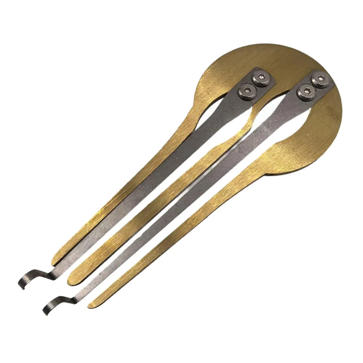 Amagogo Russische Maultrommel, Jägerharf, Tragbare Maultrommel, Kreatives, Tragbares und zu Spielendes Ethnisches Volksmusikinstrument für Anfänger, Erwachsene, Gold