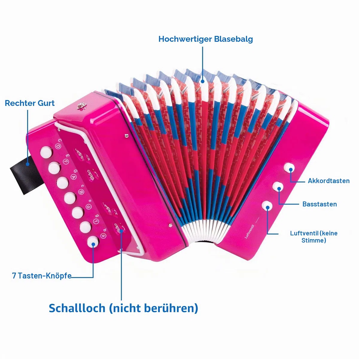 Akkordeon,Horse Akkordeon 10 Tasten Musikinstrumente Leicht und Umweltfreundlich (Rosarot)