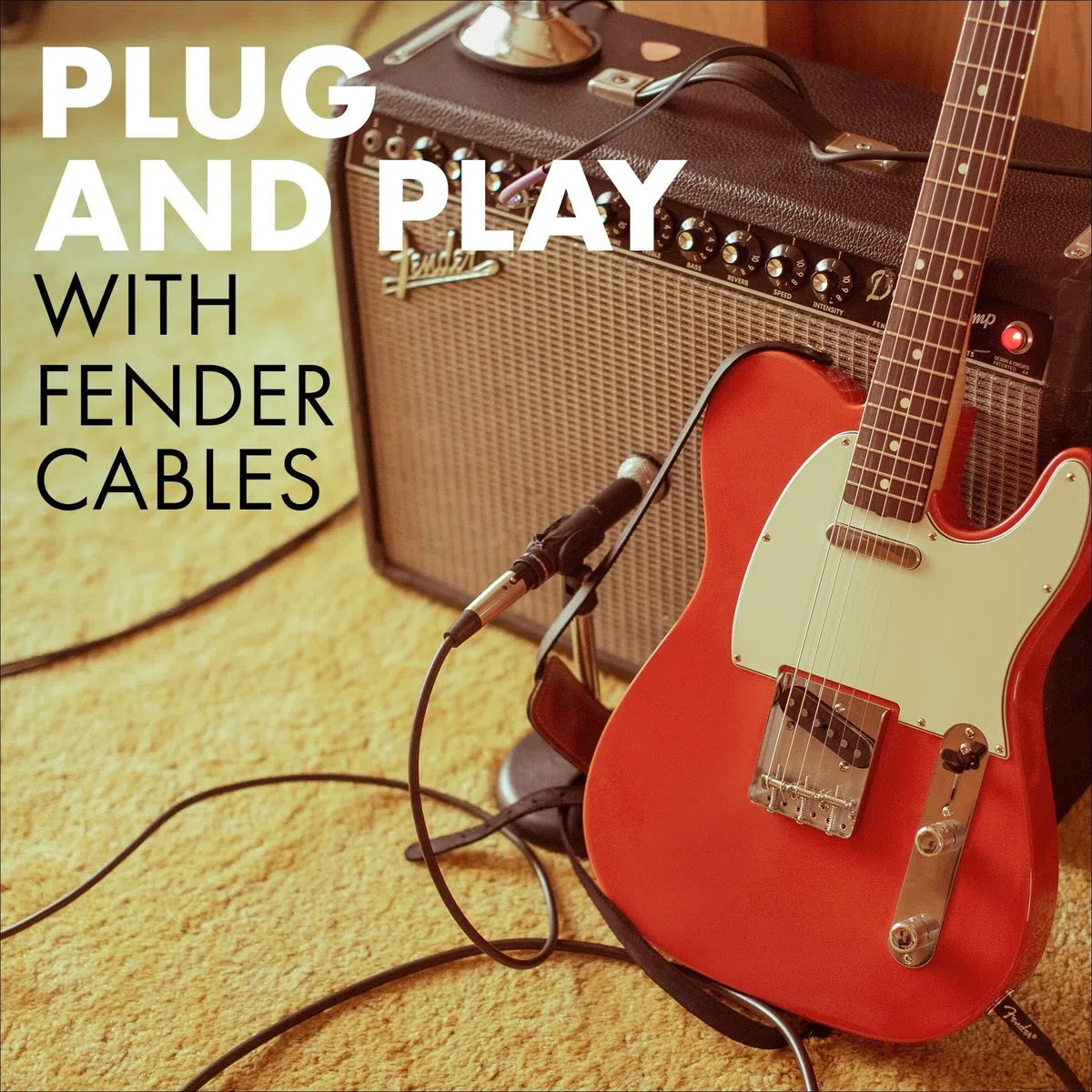 Fender DELUXE 18.6' ANGL INST TWD