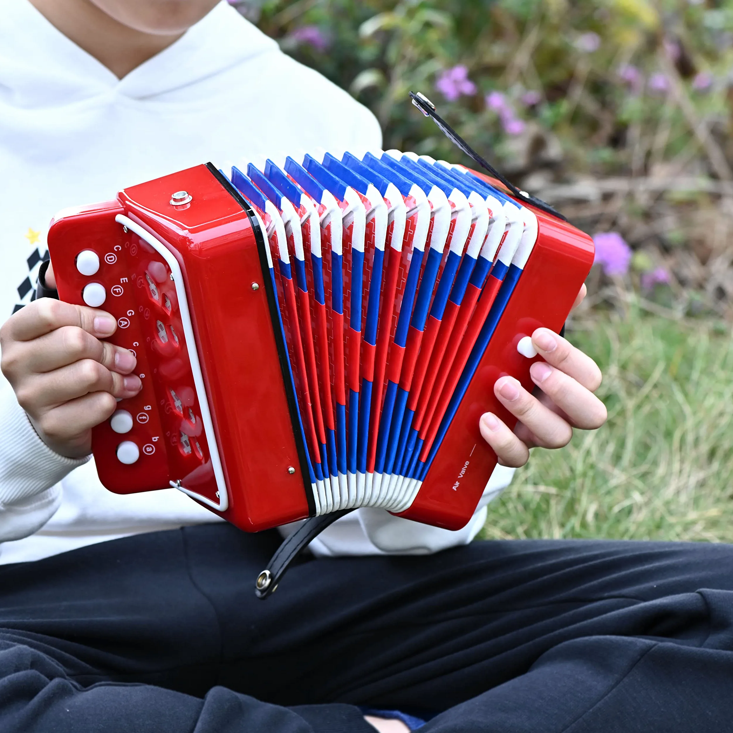 LIEKE Kinder Akkordeon 10 Tasten Knopf Spielzeug Accordion Ziehharmonika Musikinstrument Geschenk für Kinder Erwachsene Anfänger (Rot)