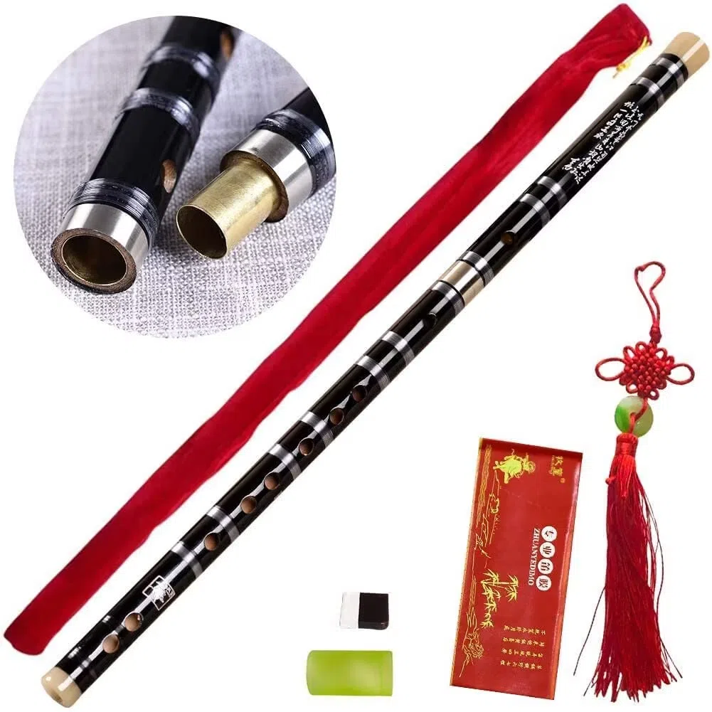 Tyuodna China Bambusflöte SteckbareTaste F Traditionelle chinesische Musikinstrumente Dizi Bitter Bambusmit Membran und Schutz-Set (Schwarz)