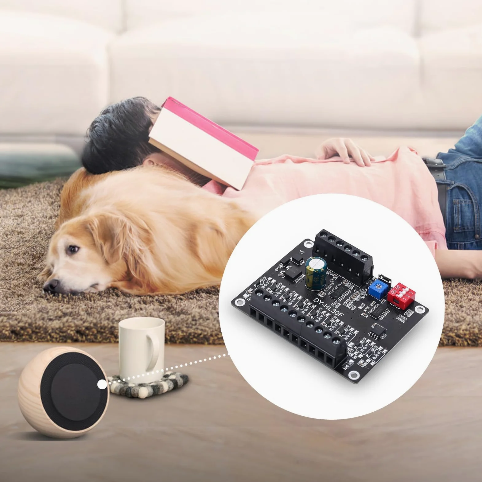 DONGKER Sprachwiedergabemodul, DC 9-24V, 30W Sprachübertragungsgerät, 9 Trigger Schnittstellen, 8 I/O Trigger Modi, Musik Player, integrierter 64Mbit Flash Speicher Sprachmodul