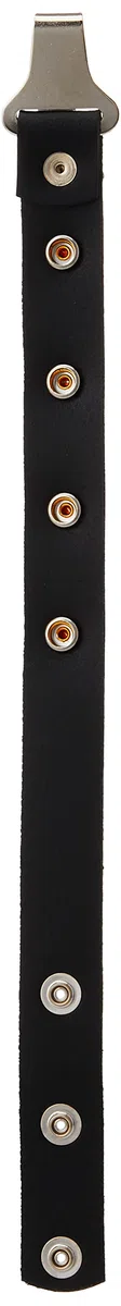 GEWA 766100 Querriemen für Akkordeon Mod.Warnke Leder, schwarz, 0.24x8.9x3.07
