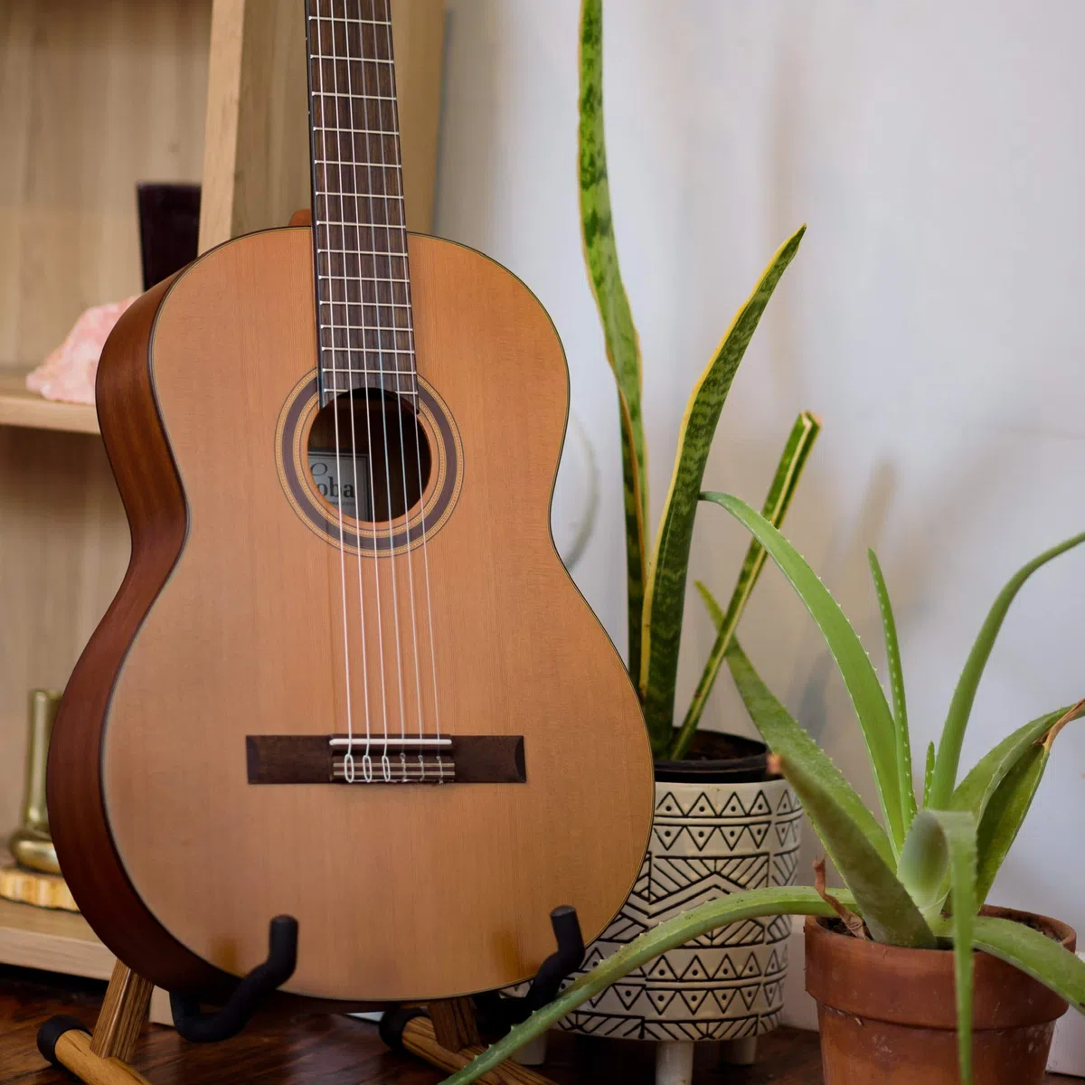 Cordoba C3 M Akustikgitarre aus Zedernholz