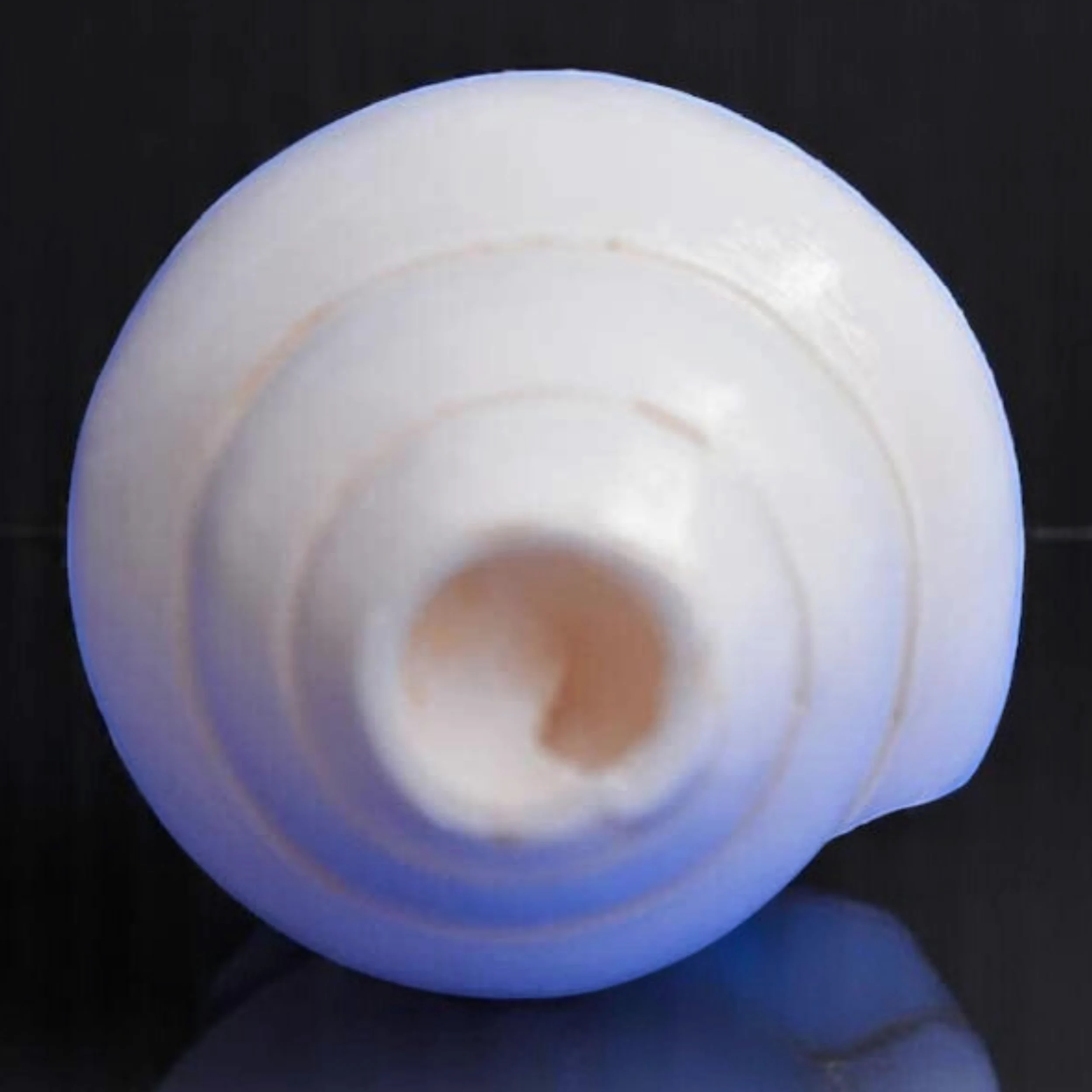 Original Blasender Schaft (VAMAVARTI BAJNEWALA) Schneckenmuschel – lauter und großer Vamavarti blätender Schaft (weiß) ~ Shankha-Muschelschalen – Meeresmuschel für Lungenstärke/Immunität 5" inch weiß
