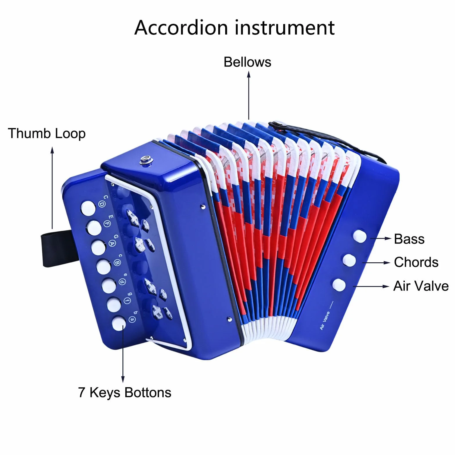 LIEKE Akkordeon 10 Tasten Knopf Accordion Ziehharmonika Musikinstrument Geschenk Spielzeug für Anfänger (Blau)