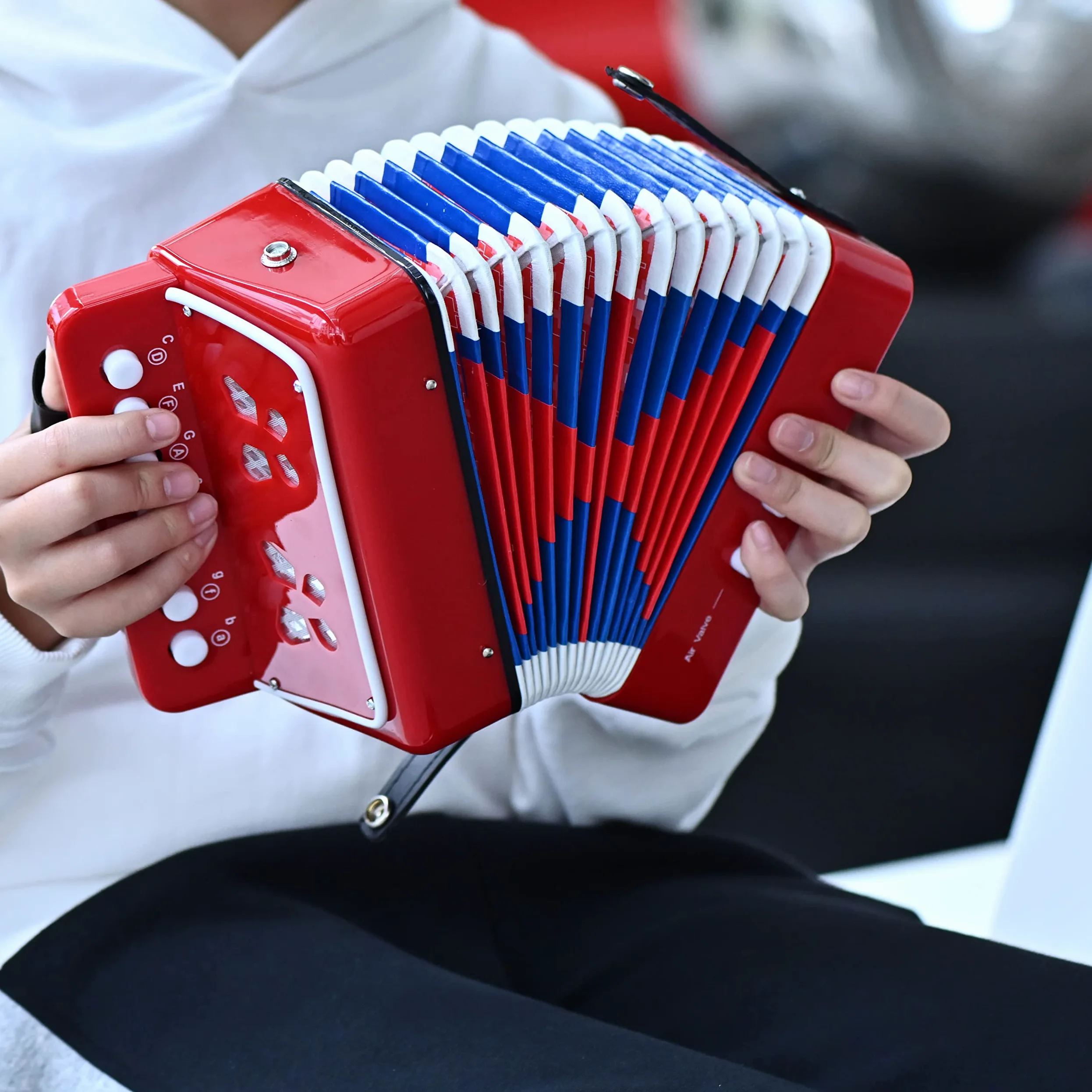 LIEKE Kinder Akkordeon 10 Tasten Knopf Spielzeug Accordion Ziehharmonika Musikinstrument Geschenk für Kinder Erwachsene Anfänger (Rot)