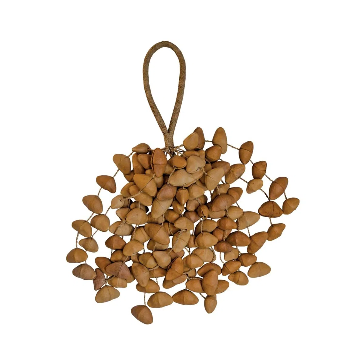 Seed Shaker XXL Cha Cha Nut