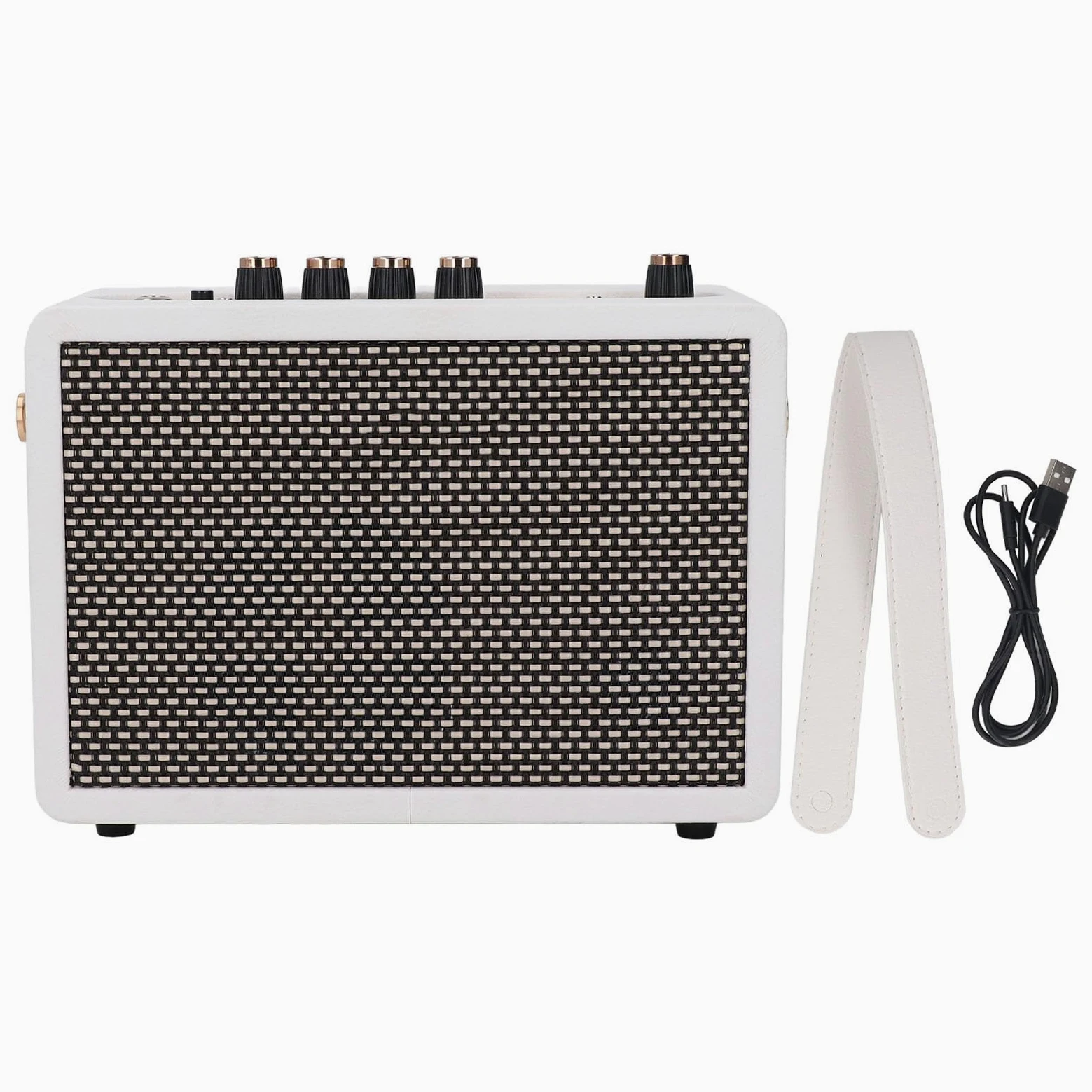 IG-10Pro Kleiner Gitarrenverstärker, 10-W-Desktop-Übungslautsprecher für E-Gitarre mit 3-Zoll-Lautsprechereinheit