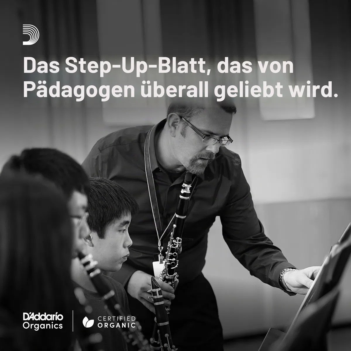 Royal Blätter für Altsaxophon Stärke 1.5 (10 Stück)