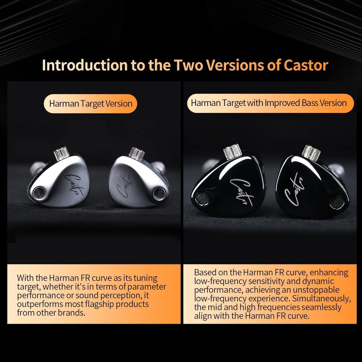 KZ Castor In Ear Monitor, Dual Dynamic Treiber, kabelgebundenes HiFi IEM, verbesserte Bass Sound abstimmung für In-Ear-Kopfhörer, abnehmbares 2-poliges Kabel (schwarz verbesserter Bass,kein Mikro)
