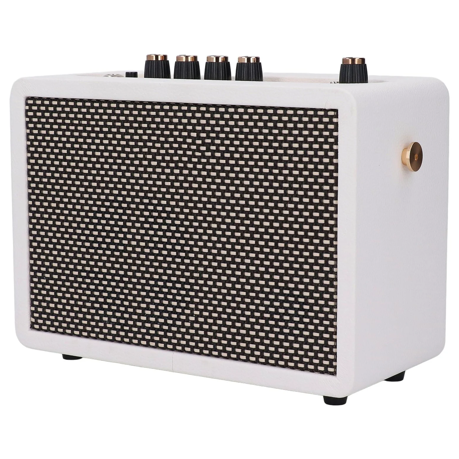 IG-10Pro Kleiner Gitarrenverstärker, 10-W-Desktop-Übungslautsprecher für E-Gitarre mit 3-Zoll-Lautsprechereinheit