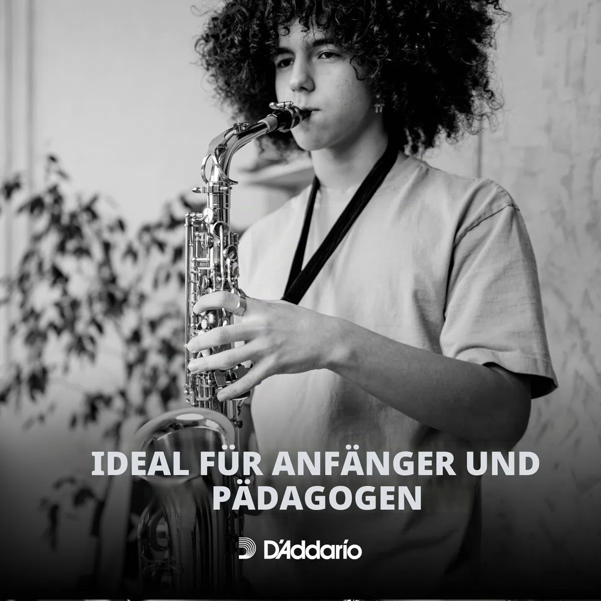 Rico by D'Addario Saxophon Blätter | Hochpräzise gefertigt | Alt Saxophon Blätter 2 Stärke | 10er-Packung | Warmer voller Ton | Angenehmes Spielgefühl