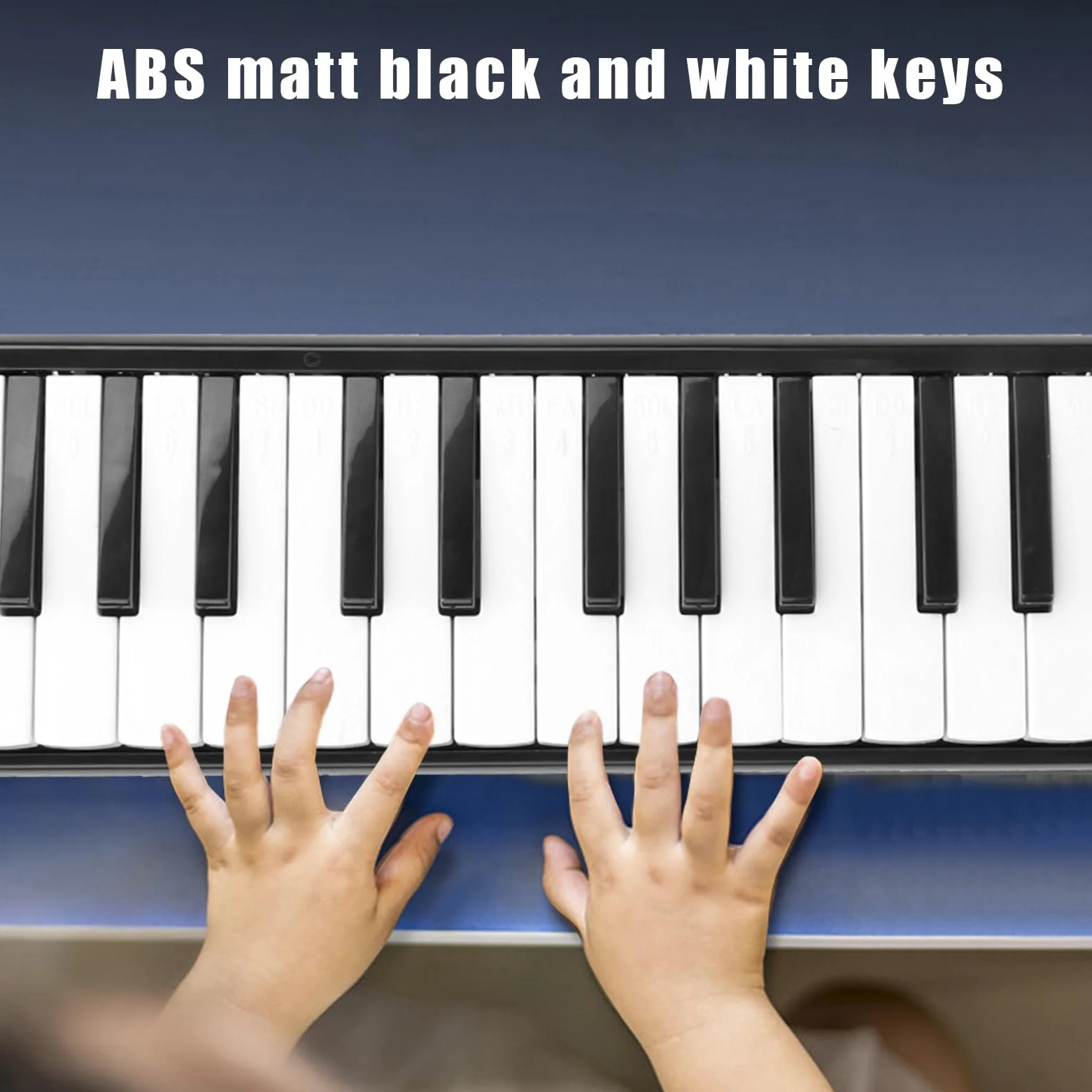 32 Tasten Melodica ABS IRIN Melodica Geeignet für Anfänger Übungstasche Blasmusikinstrument Tastatur Mundharmonika Schwarz (Schwarz)
