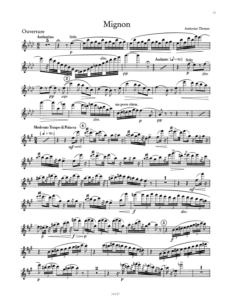 Orchesterprobespiel: Flöte / Piccoloflöte: Sammlung wichtiger Passagen aus der Opern- und Konzertliteratur