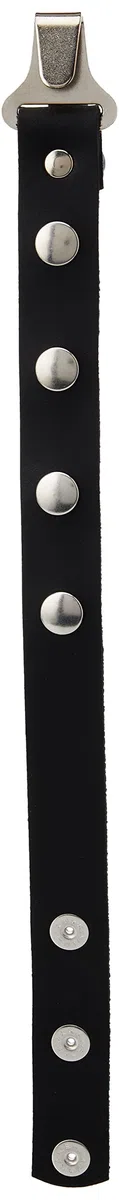 GEWA 766100 Querriemen für Akkordeon Mod.Warnke Leder, schwarz, 0.24x8.9x3.07