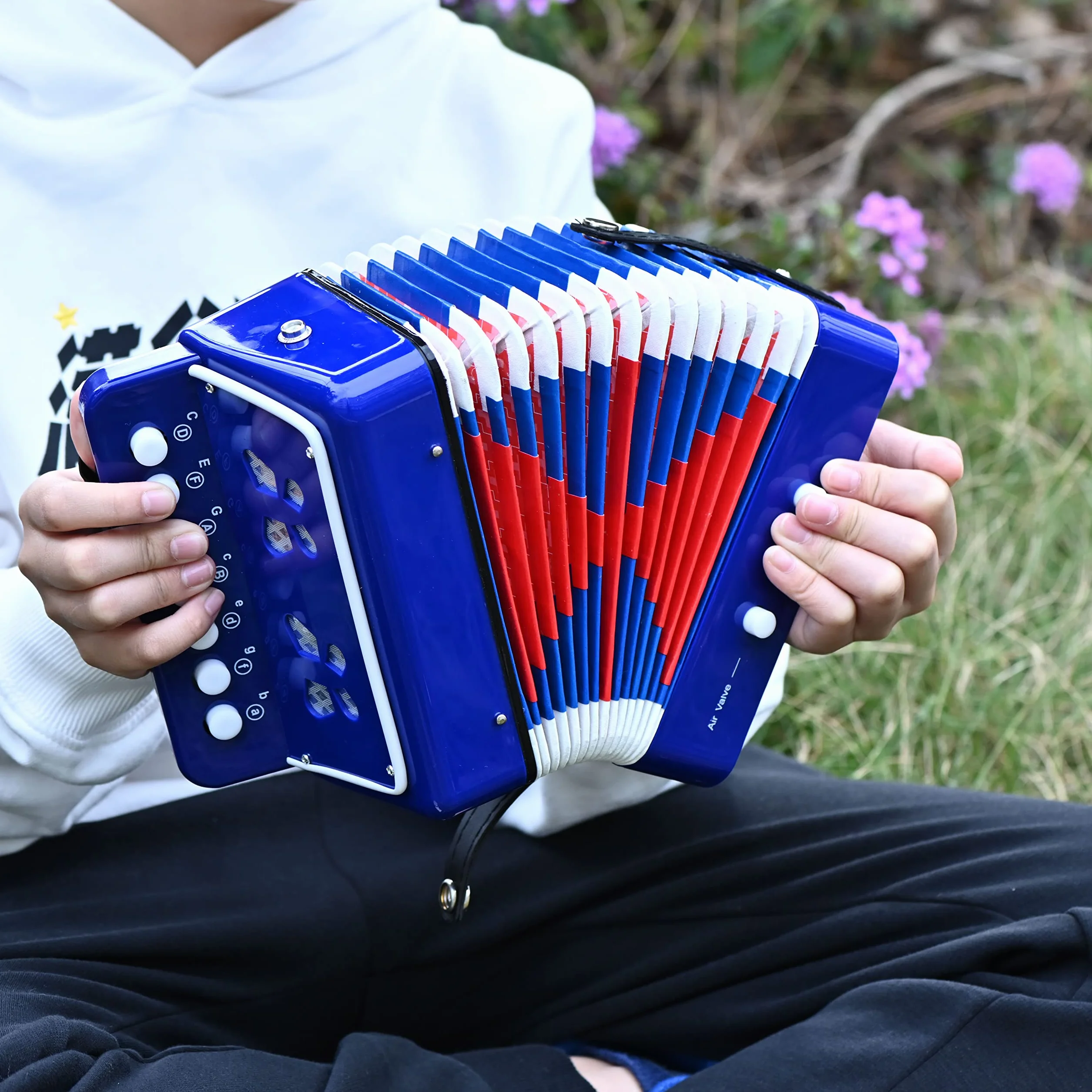 LIEKE Akkordeon 10 Tasten Knopf Accordion Ziehharmonika Musikinstrument Geschenk Spielzeug für Anfänger (Blau)