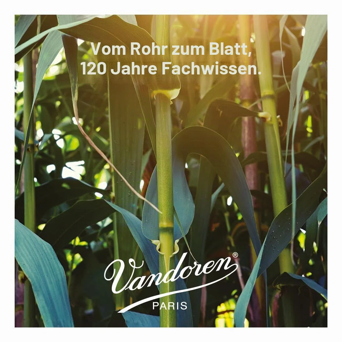 VANDOREN SR4225 Wind Instruments für Tenor Saxophon