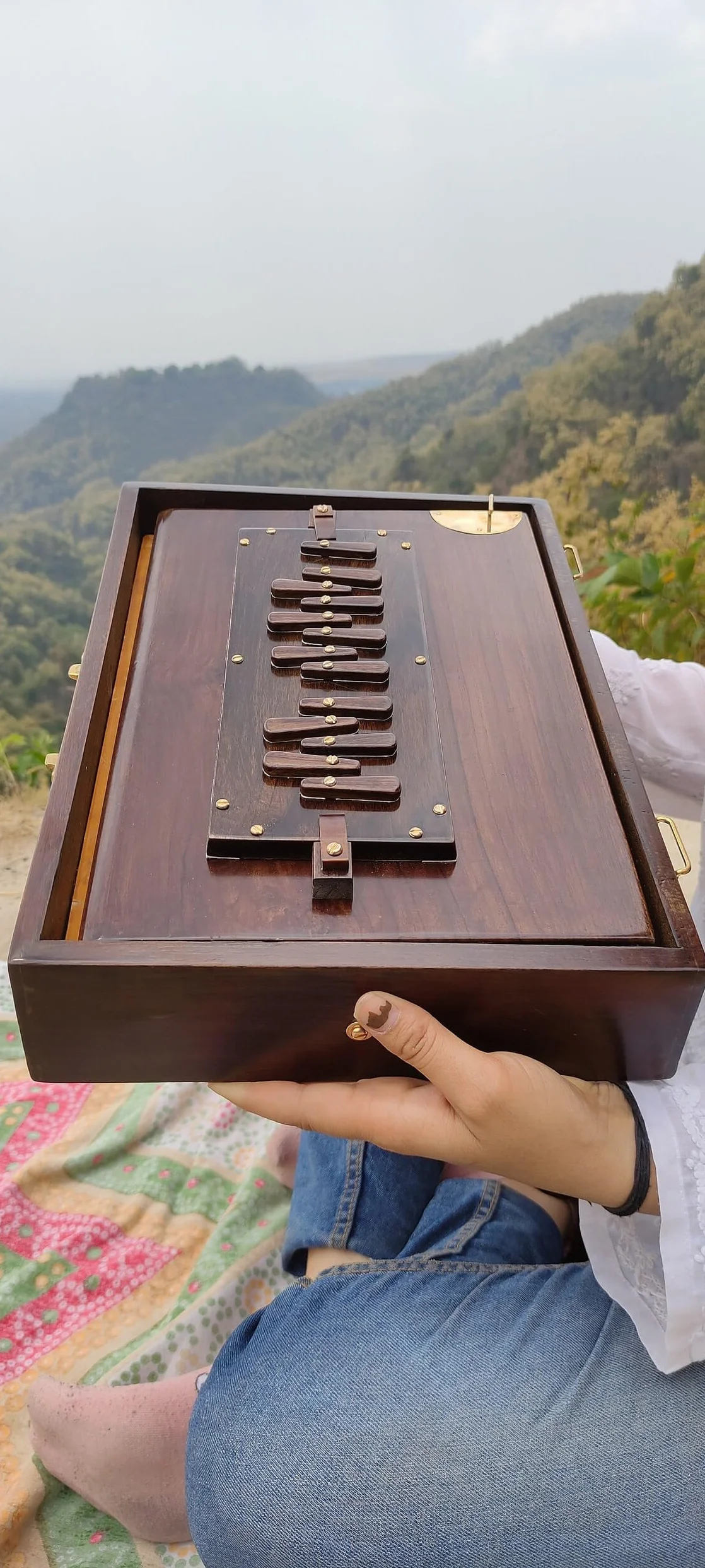 Hochwertige Shruti-Box mit Espresso-Farbe, 440 Hz, gepolsterte Tragetasche, hergestellt aus Teakholz, indisches Instrument, Shruti-Box (432 Hz auf Anfrage)