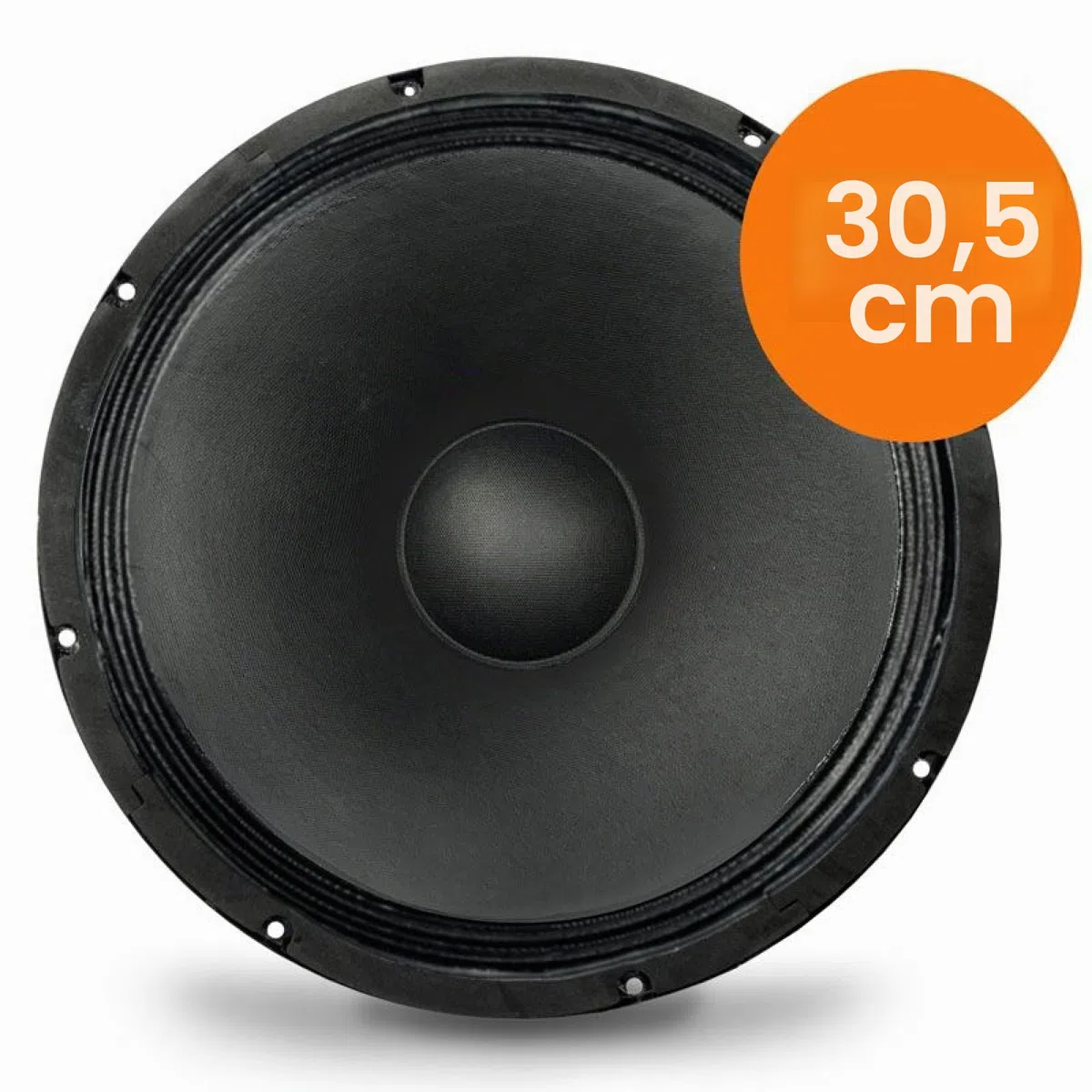 Audibax GR12-DE Altavoz Profesional Woofer 12" 180W RMS